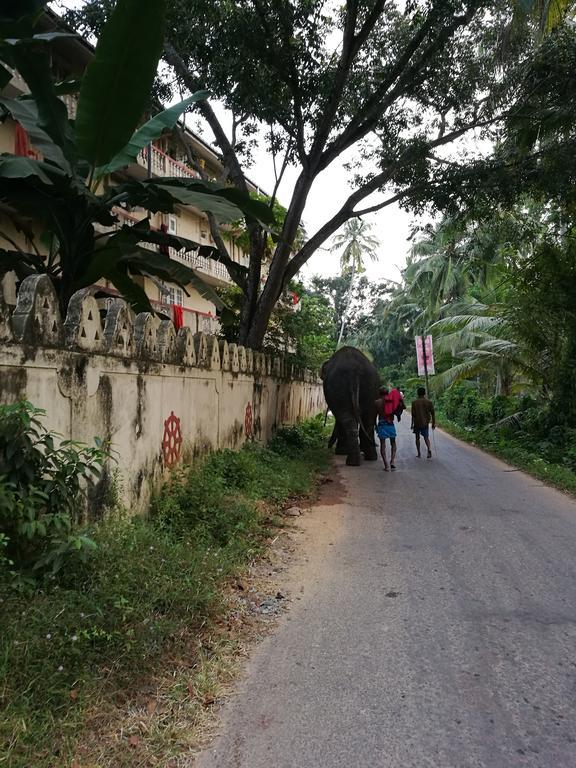 Guesthouse Dilush Beruwala Zewnętrze zdjęcie